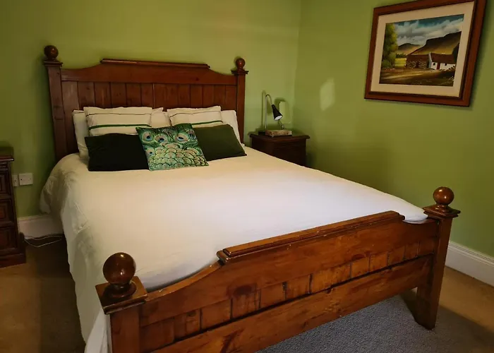 Skellys 宾馆 Ballymahon